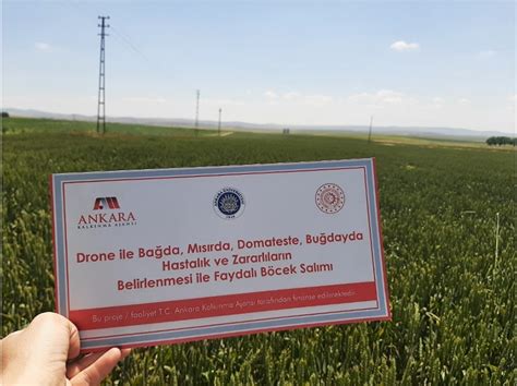 Faydalı böcek atım dronu tarımda kimyasal kullanımını azaltabilir